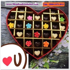 Hộp Quà Socola - SCO04